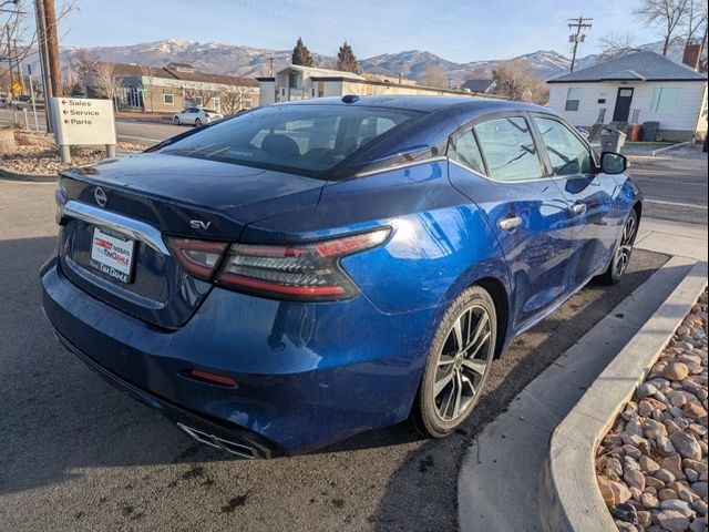 2023 Nissan Maxima SV