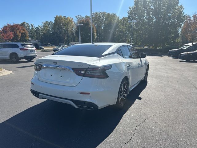 2023 Nissan Maxima SV