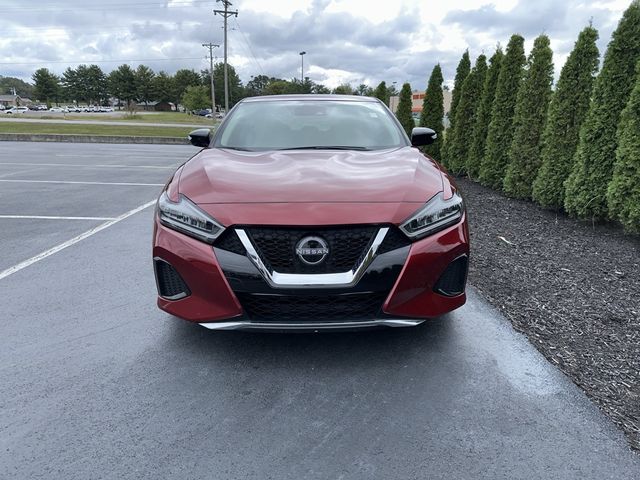 2023 Nissan Maxima SV