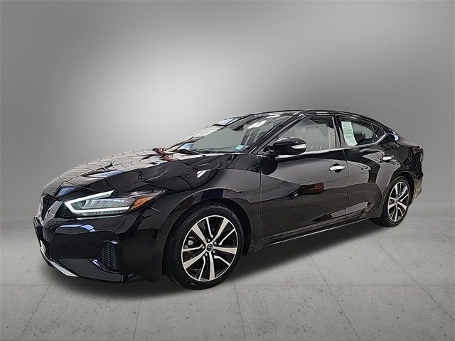 2023 Nissan Maxima SV