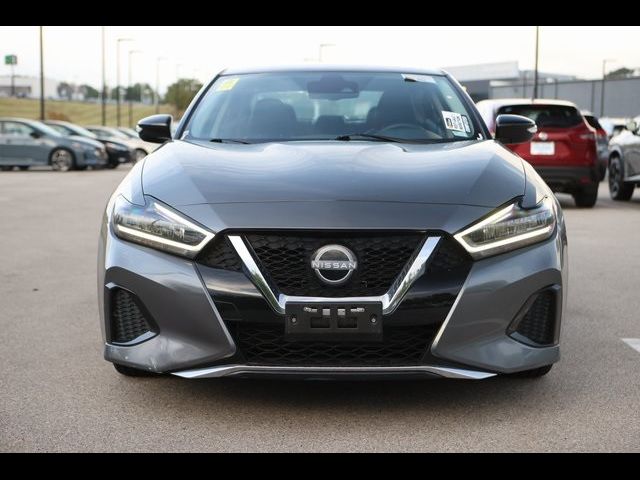 2023 Nissan Maxima SV