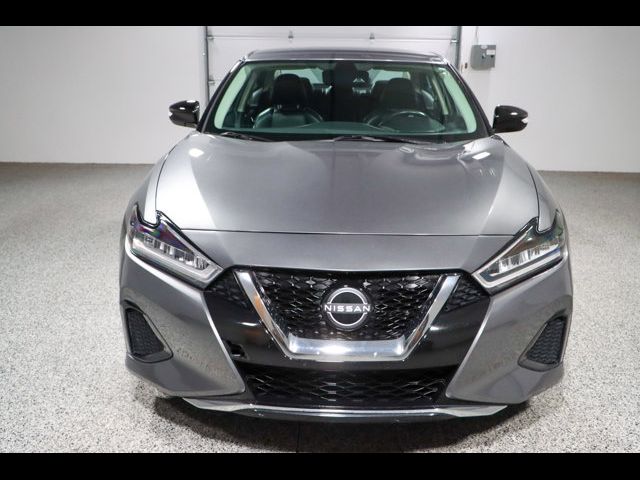 2023 Nissan Maxima SV