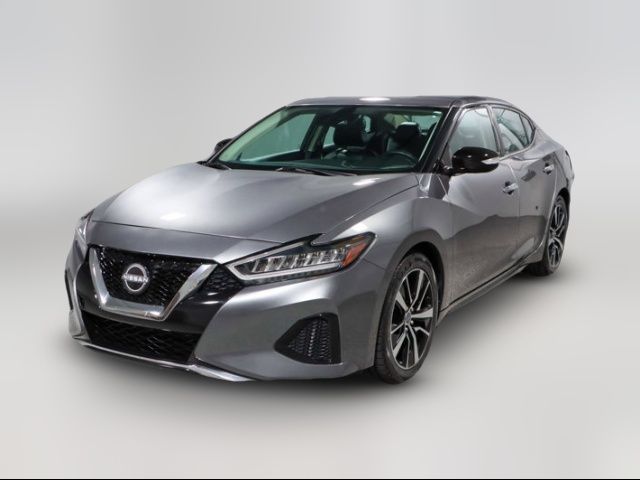 2023 Nissan Maxima SV