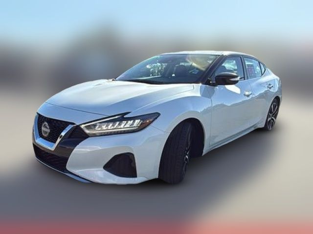 2023 Nissan Maxima SV