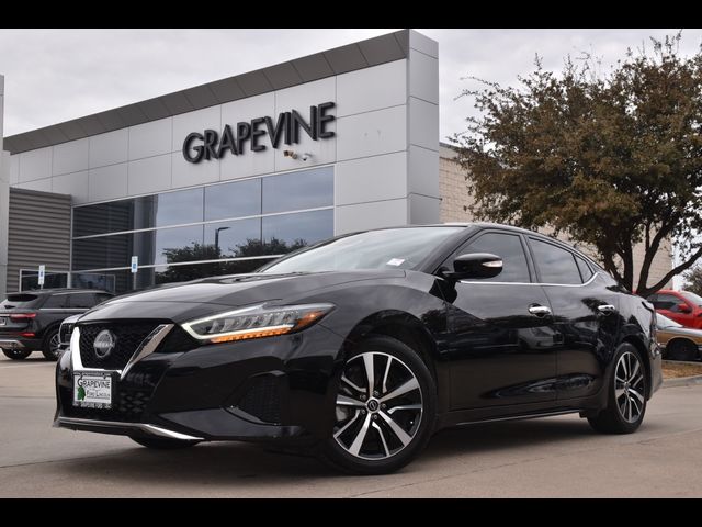 2023 Nissan Maxima SV