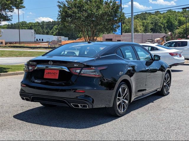 2023 Nissan Maxima SV