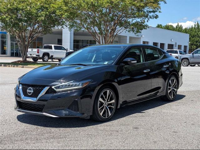 2023 Nissan Maxima SV