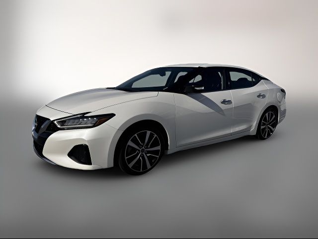 2023 Nissan Maxima SV