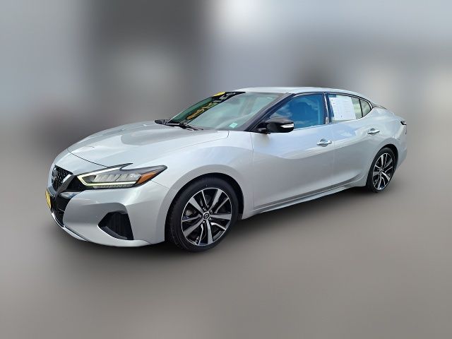 2023 Nissan Maxima SV