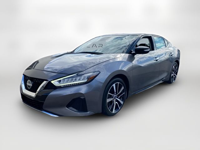 2023 Nissan Maxima SV