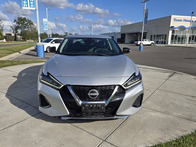 2023 Nissan Maxima SV