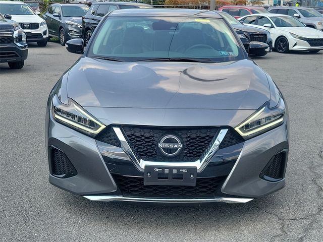 2023 Nissan Maxima SV