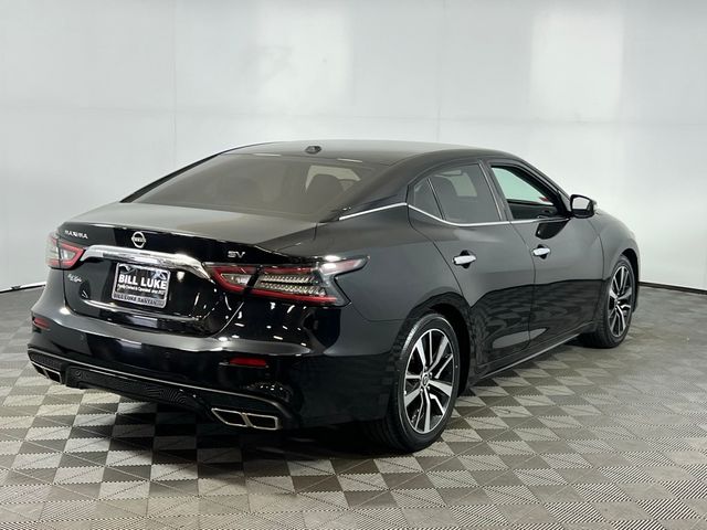 2023 Nissan Maxima SV