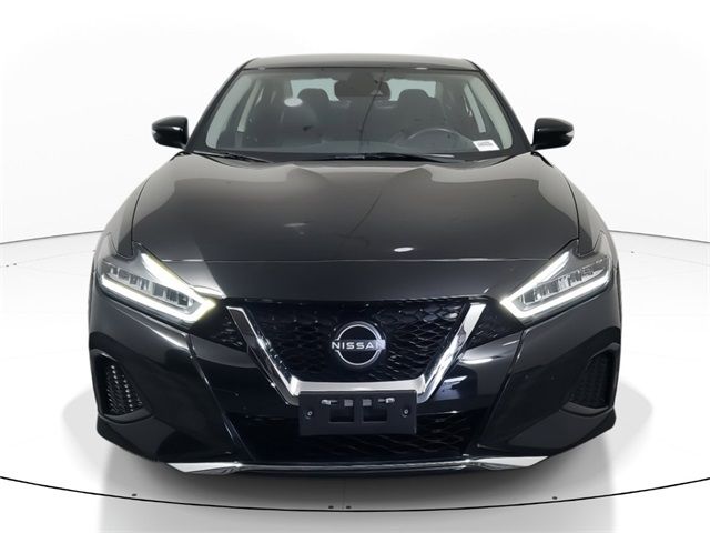 2023 Nissan Maxima SV