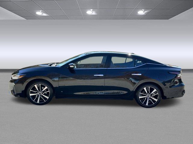 2023 Nissan Maxima SV