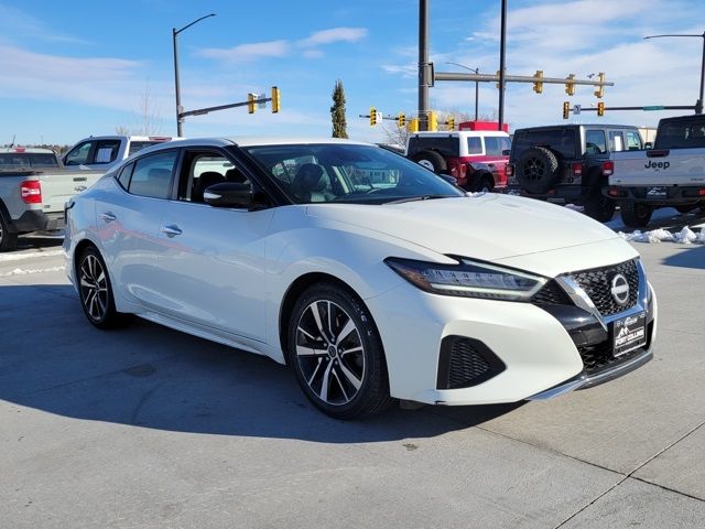 2023 Nissan Maxima SV