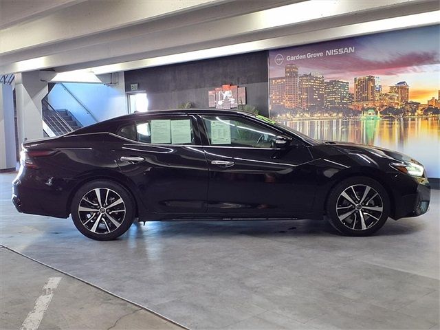 2023 Nissan Maxima SV
