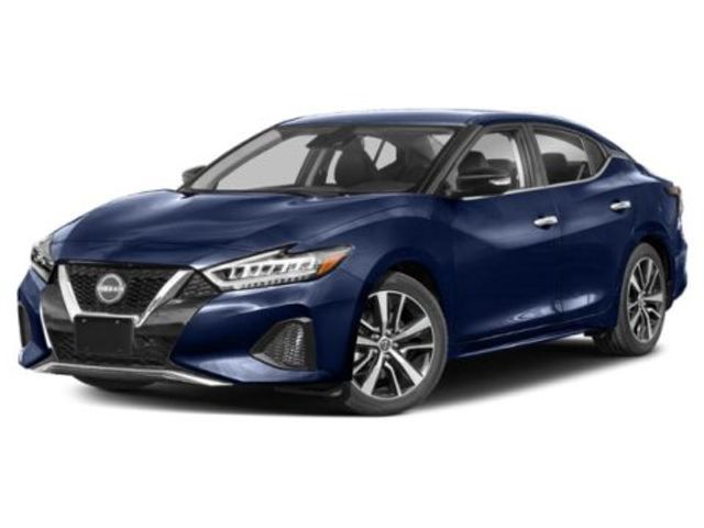 2023 Nissan Maxima SV