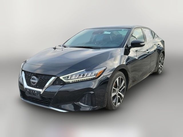 2023 Nissan Maxima SV