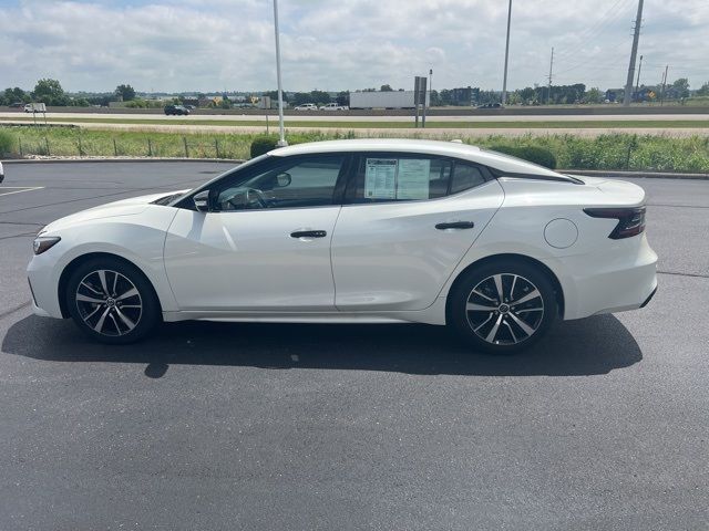 2023 Nissan Maxima SV