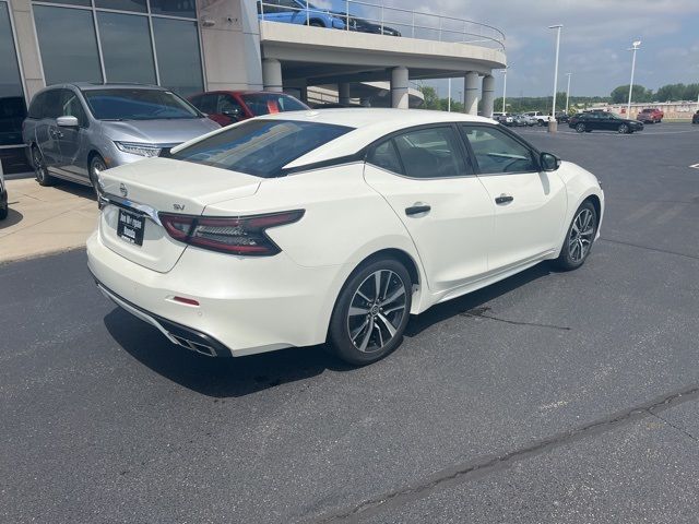 2023 Nissan Maxima SV