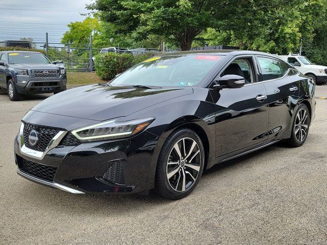 2023 Nissan Maxima SV