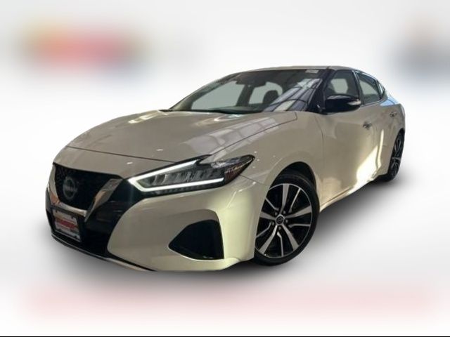 2023 Nissan Maxima SV