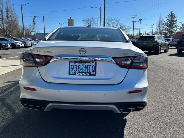 2023 Nissan Maxima SV