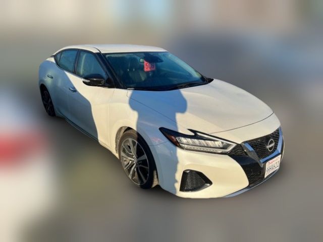 2023 Nissan Maxima SV