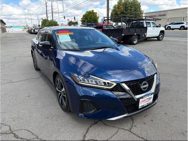 2023 Nissan Maxima SV