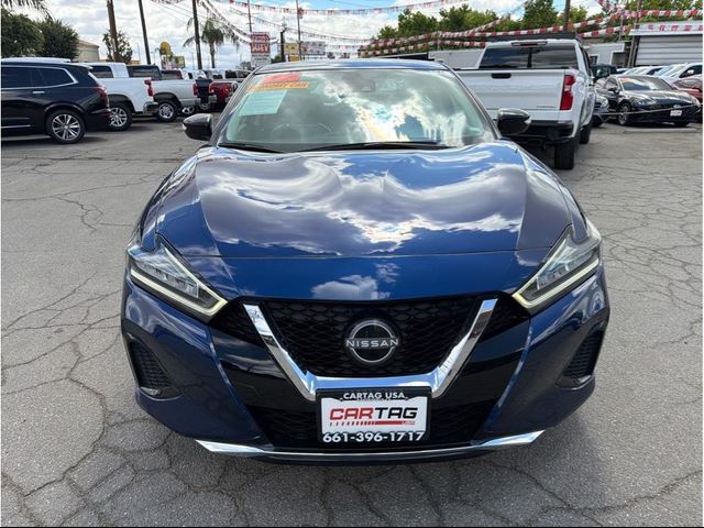 2023 Nissan Maxima SV