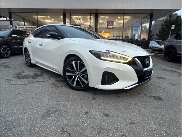 2023 Nissan Maxima SV