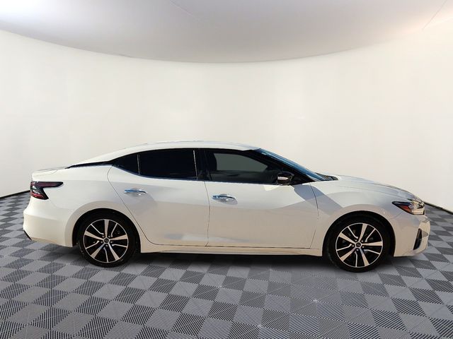 2023 Nissan Maxima SV