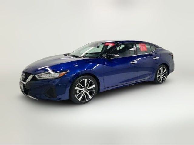 2023 Nissan Maxima SV