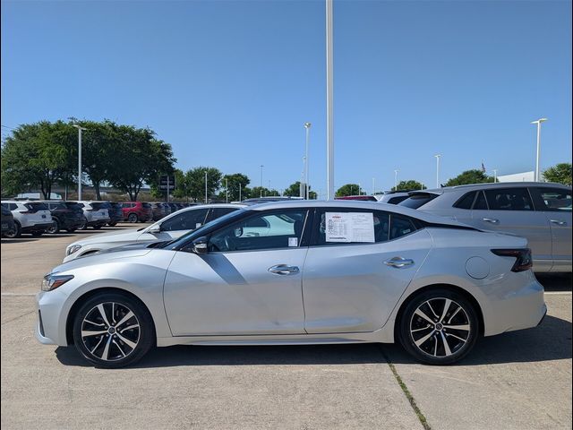 2023 Nissan Maxima SV