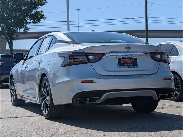 2023 Nissan Maxima SV