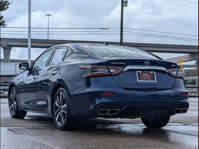 2023 Nissan Maxima SV