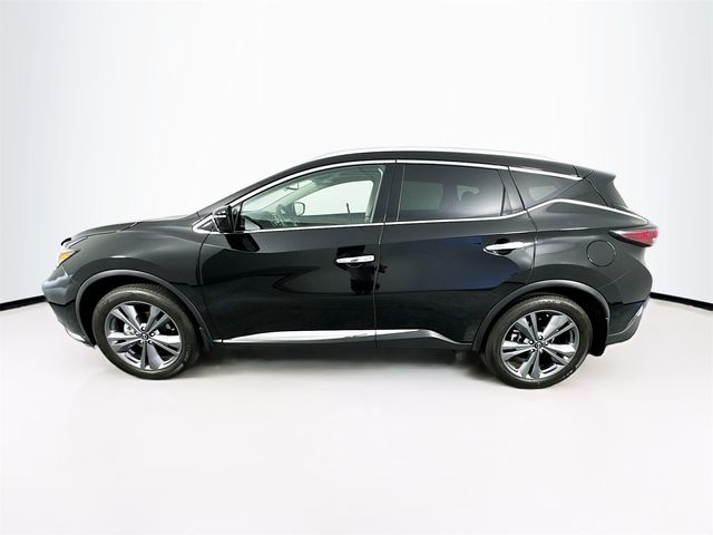 2023 Nissan Murano Platinum