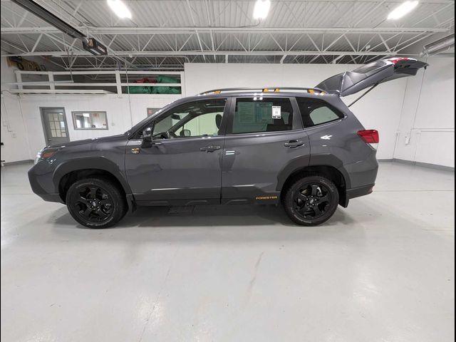 2023 Subaru Forester Wilderness