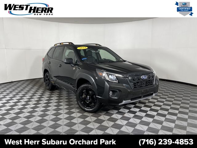 2023 Subaru Forester Wilderness