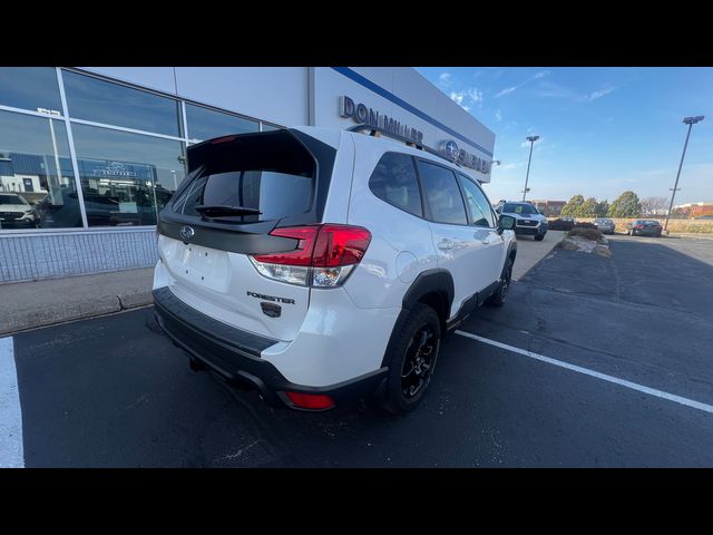 2023 Subaru Forester Wilderness