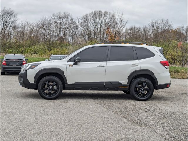 2023 Subaru Forester Wilderness