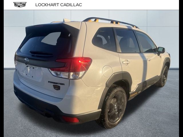 2023 Subaru Forester Wilderness