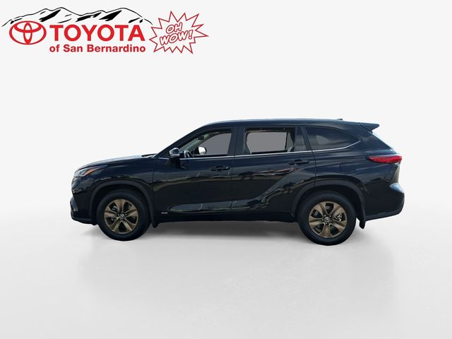 2023 Toyota Highlander Hybrid XLE Bronze