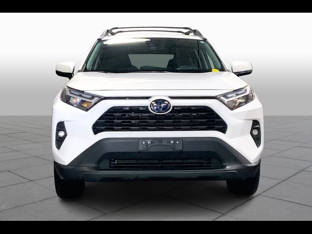 2023 Toyota RAV4 Hybrid Woodland