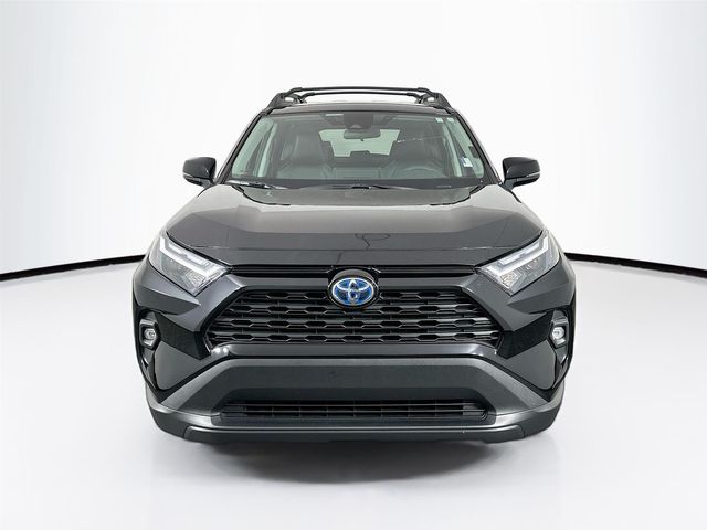 2023 Toyota RAV4 Hybrid Woodland