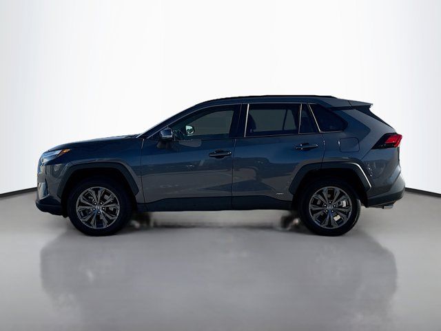 2023 Toyota RAV4 Hybrid XLE Premium