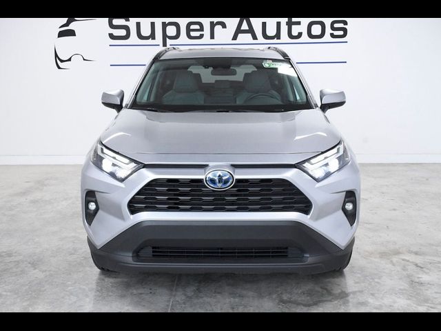 2023 Toyota RAV4 Hybrid XLE Premium