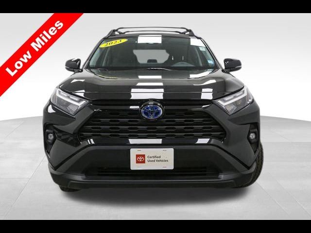 2023 Toyota RAV4 Hybrid Woodland