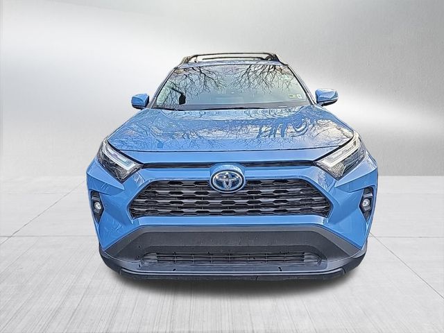 2023 Toyota RAV4 Hybrid Woodland